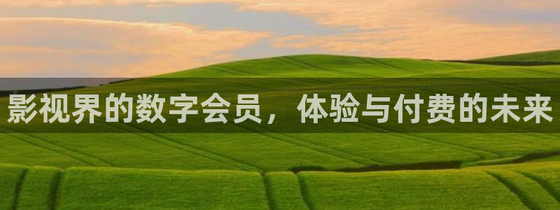 大地影院高清mv在线观看
